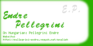 endre pellegrini business card